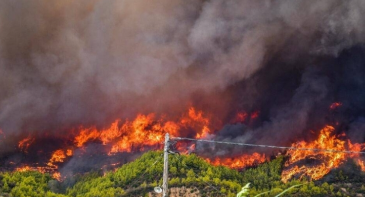 Ajloon Governor: Efforts Underway to Extinguish Safsafa Fire | Local ...